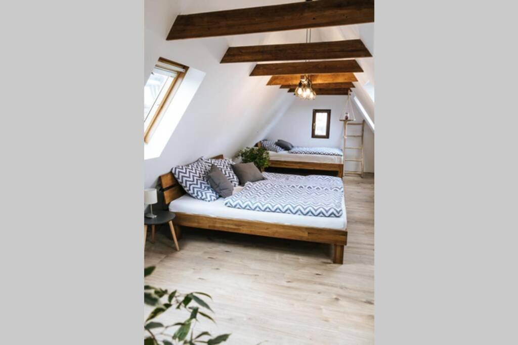 The Cozy Studio Apartment Lauf Lauf an der Pegnitz Luaran gambar