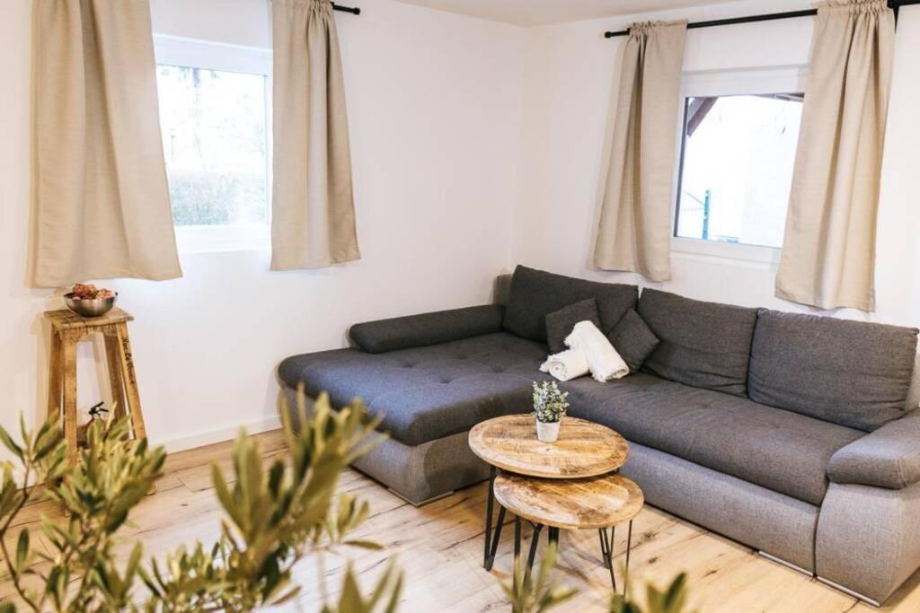 The Cozy Studio Apartment Lauf Lauf an der Pegnitz Luaran gambar